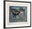 Neverness-Tighe O'Donoghue-Framed Collectable Print