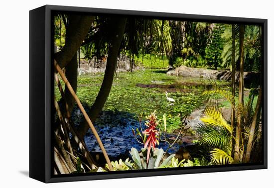 Nevis Botanical Garden, Nevis, St. Kitts and Nevis-Robert Harding-Framed Premier Image Canvas