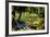 Nevis Botanical Garden, Nevis, St. Kitts and Nevis-Robert Harding-Framed Photographic Print