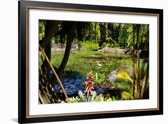 Nevis Botanical Garden, Nevis, St. Kitts and Nevis-Robert Harding-Framed Photographic Print