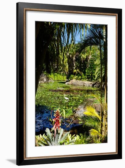 Nevis Botanical Garden, Nevis, St. Kitts and Nevis-Robert Harding-Framed Photographic Print