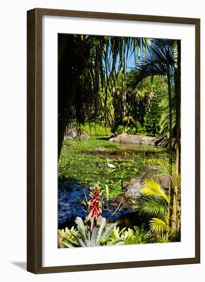 Nevis Botanical Garden, Nevis, St. Kitts and Nevis-Robert Harding-Framed Photographic Print