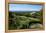 Nevis Botanical Garden, Nevis, St. Kitts and Nevis-Robert Harding-Framed Premier Image Canvas