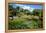 Nevis Botanical Garden, Nevis, St. Kitts and Nevis-Robert Harding-Framed Premier Image Canvas