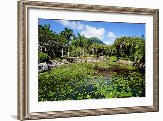 Nevis Botanical Garden, Nevis, St. Kitts and Nevis-Robert Harding-Framed Photographic Print