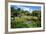 Nevis Botanical Garden, Nevis, St. Kitts and Nevis-Robert Harding-Framed Photographic Print