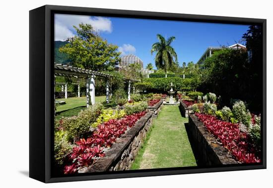 Nevis Botanical Garden, Nevis, St. Kitts and Nevis-Robert Harding-Framed Premier Image Canvas