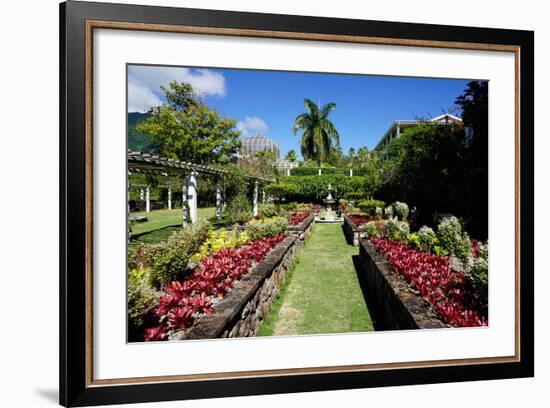 Nevis Botanical Garden, Nevis, St. Kitts and Nevis-Robert Harding-Framed Photographic Print