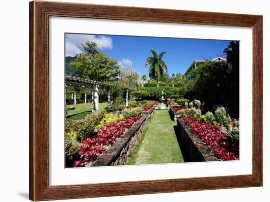 Nevis Botanical Garden, Nevis, St. Kitts and Nevis-Robert Harding-Framed Photographic Print