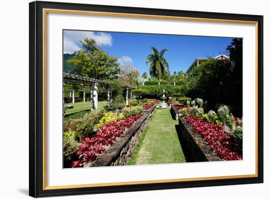 Nevis Botanical Garden, Nevis, St. Kitts and Nevis-Robert Harding-Framed Photographic Print