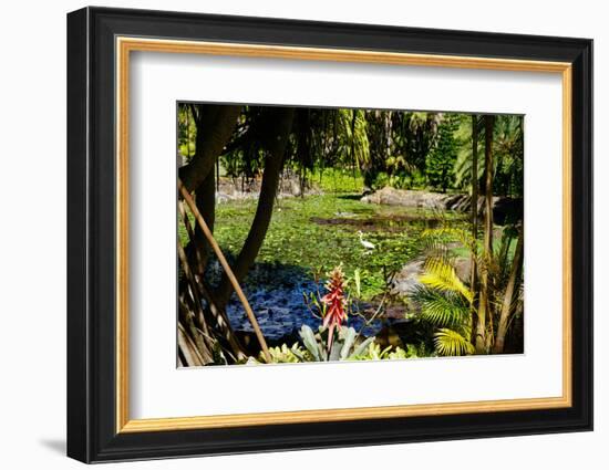 Nevis Botanical Garden, Nevis, St. Kitts and Nevis-Robert Harding-Framed Photographic Print