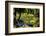 Nevis Botanical Garden, Nevis, St. Kitts and Nevis-Robert Harding-Framed Photographic Print