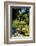 Nevis Botanical Garden, Nevis, St. Kitts and Nevis-Robert Harding-Framed Photographic Print