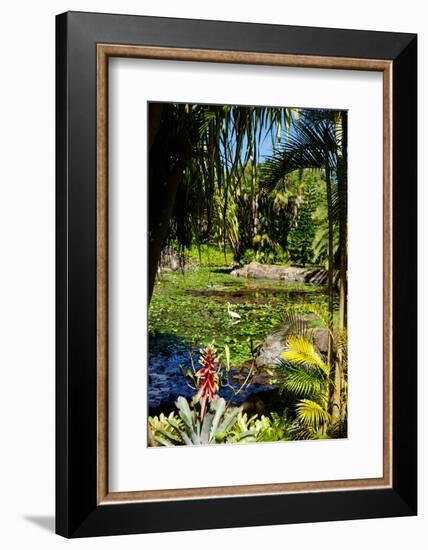 Nevis Botanical Garden, Nevis, St. Kitts and Nevis-Robert Harding-Framed Photographic Print