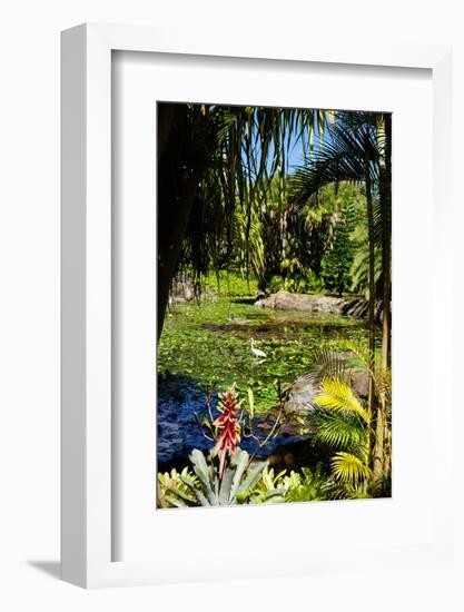 Nevis Botanical Garden, Nevis, St. Kitts and Nevis-Robert Harding-Framed Photographic Print