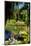 Nevis Botanical Garden, Nevis, St. Kitts and Nevis-Robert Harding-Mounted Photographic Print