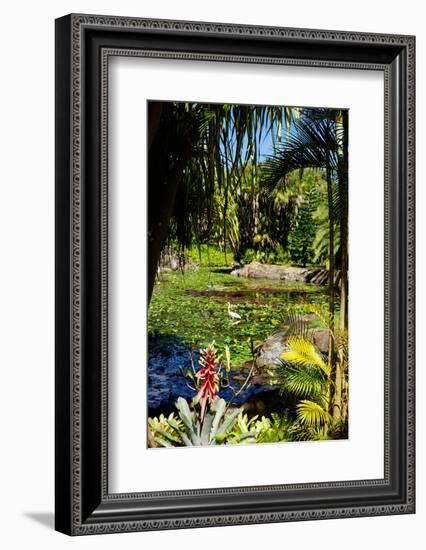 Nevis Botanical Garden, Nevis, St. Kitts and Nevis-Robert Harding-Framed Photographic Print