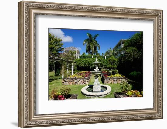 Nevis Botanical Garden, Nevis, St. Kitts and Nevis-Robert Harding-Framed Photographic Print