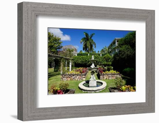 Nevis Botanical Garden, Nevis, St. Kitts and Nevis-Robert Harding-Framed Photographic Print