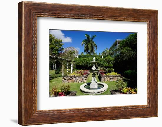 Nevis Botanical Garden, Nevis, St. Kitts and Nevis-Robert Harding-Framed Photographic Print