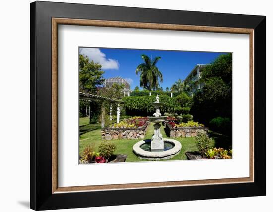 Nevis Botanical Garden, Nevis, St. Kitts and Nevis-Robert Harding-Framed Photographic Print