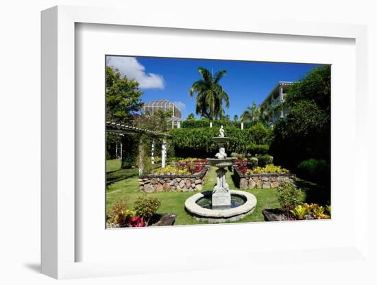 Nevis Botanical Garden, Nevis, St. Kitts and Nevis-Robert Harding-Framed Photographic Print