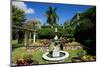 Nevis Botanical Garden, Nevis, St. Kitts and Nevis-Robert Harding-Mounted Photographic Print