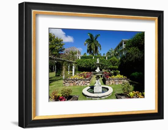 Nevis Botanical Garden, Nevis, St. Kitts and Nevis-Robert Harding-Framed Photographic Print