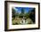 Nevis Botanical Garden, Nevis, St. Kitts and Nevis-Robert Harding-Framed Photographic Print