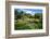 Nevis Botanical Garden, Nevis, St. Kitts and Nevis-Robert Harding-Framed Photographic Print