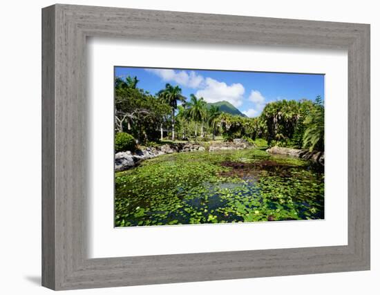 Nevis Botanical Garden, Nevis, St. Kitts and Nevis-Robert Harding-Framed Photographic Print