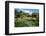 Nevis Botanical Garden, Nevis, St. Kitts and Nevis-Robert Harding-Framed Photographic Print