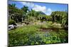 Nevis Botanical Garden, Nevis, St. Kitts and Nevis-Robert Harding-Mounted Photographic Print