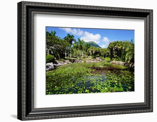 Nevis Botanical Garden, Nevis, St. Kitts and Nevis-Robert Harding-Framed Photographic Print