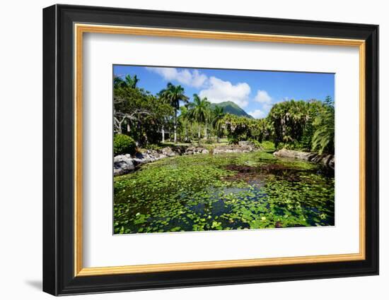 Nevis Botanical Garden, Nevis, St. Kitts and Nevis-Robert Harding-Framed Photographic Print