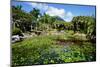 Nevis Botanical Garden, Nevis, St. Kitts and Nevis-Robert Harding-Mounted Premium Photographic Print