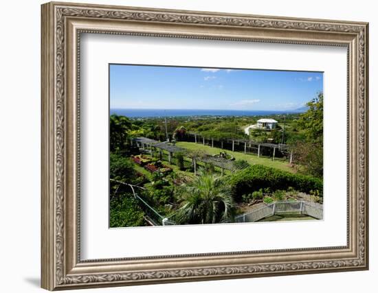 Nevis Botanical Garden, Nevis, St. Kitts and Nevis-Robert Harding-Framed Photographic Print