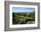 Nevis Botanical Garden, Nevis, St. Kitts and Nevis-Robert Harding-Framed Photographic Print