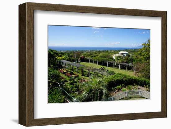 Nevis Botanical Garden, Nevis, St. Kitts and Nevis-Robert Harding-Framed Photographic Print