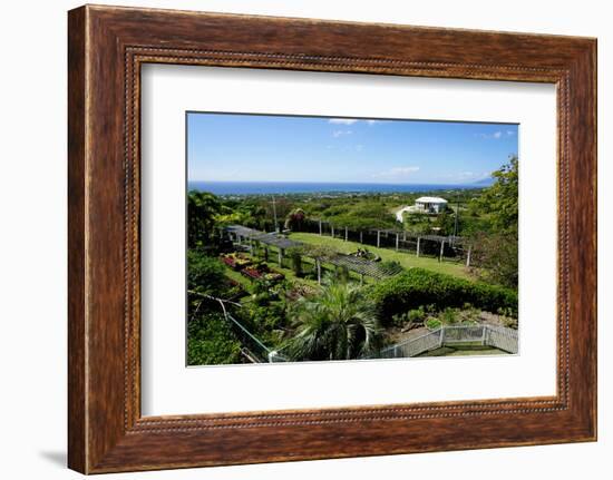 Nevis Botanical Garden, Nevis, St. Kitts and Nevis-Robert Harding-Framed Photographic Print