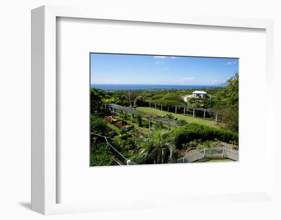 Nevis Botanical Garden, Nevis, St. Kitts and Nevis-Robert Harding-Framed Photographic Print