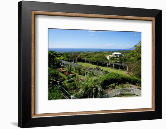 Nevis Botanical Garden, Nevis, St. Kitts and Nevis-Robert Harding-Framed Photographic Print