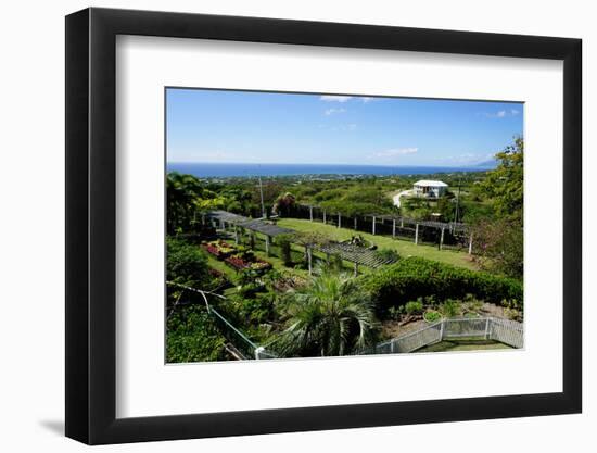 Nevis Botanical Garden, Nevis, St. Kitts and Nevis-Robert Harding-Framed Photographic Print