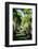 Nevis Botanical Garden, Nevis, St. Kitts and Nevis-Robert Harding-Framed Photographic Print