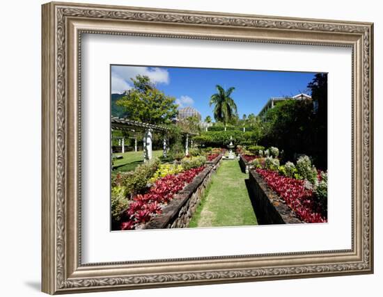 Nevis Botanical Garden, Nevis, St. Kitts and Nevis-Robert Harding-Framed Photographic Print