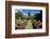 Nevis Botanical Garden, Nevis, St. Kitts and Nevis-Robert Harding-Framed Photographic Print