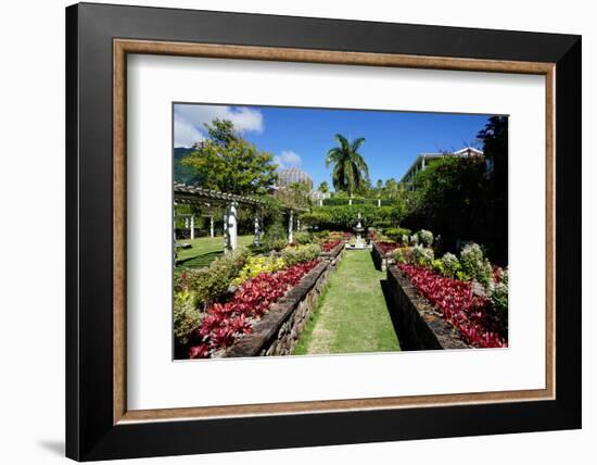 Nevis Botanical Garden, Nevis, St. Kitts and Nevis-Robert Harding-Framed Photographic Print