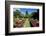 Nevis Botanical Garden, Nevis, St. Kitts and Nevis-Robert Harding-Framed Photographic Print