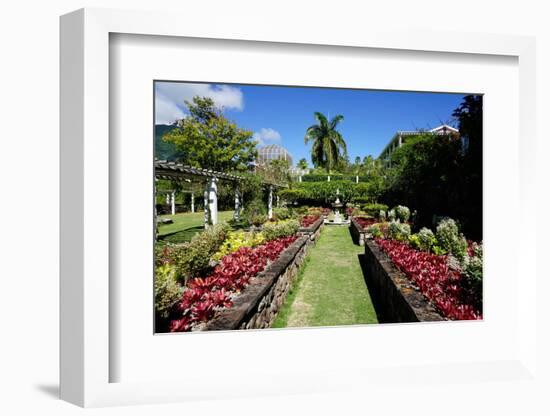 Nevis Botanical Garden, Nevis, St. Kitts and Nevis-Robert Harding-Framed Photographic Print