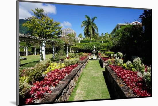 Nevis Botanical Garden, Nevis, St. Kitts and Nevis-Robert Harding-Mounted Photographic Print